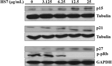 Fig. 8