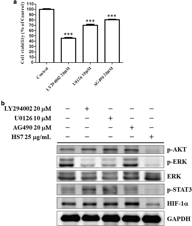 Fig. 7