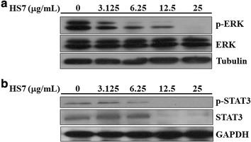 Fig. 6