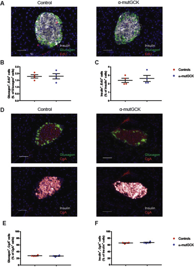 Figure 4