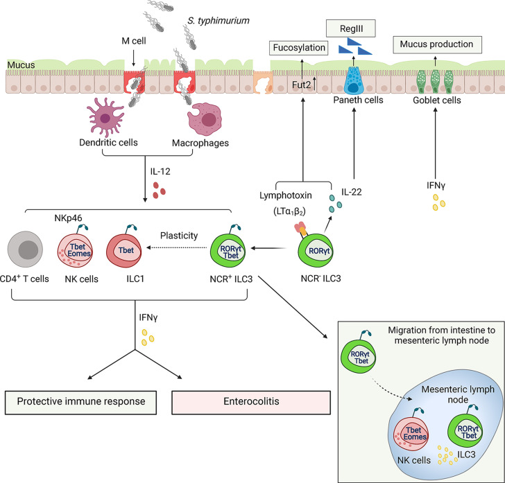 Figure 4