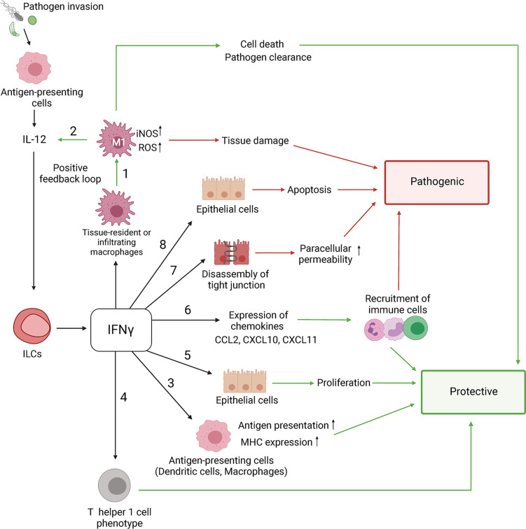 Figure 2