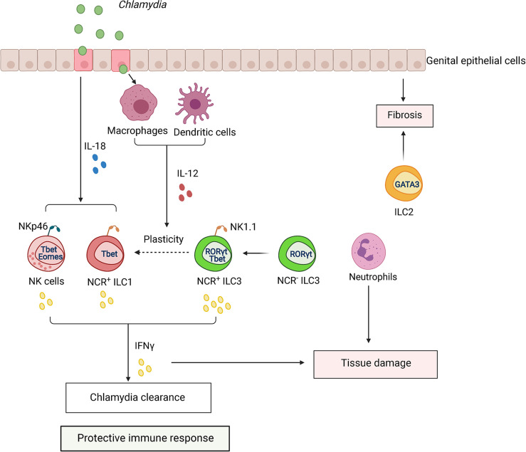 Figure 6