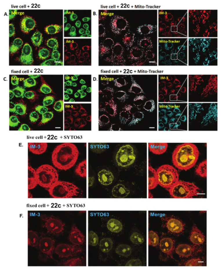 Figure 19