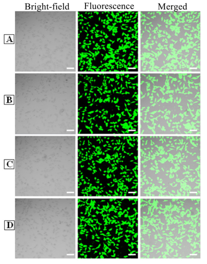 Figure 21