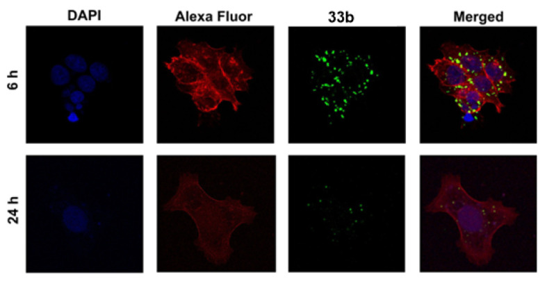 Figure 27