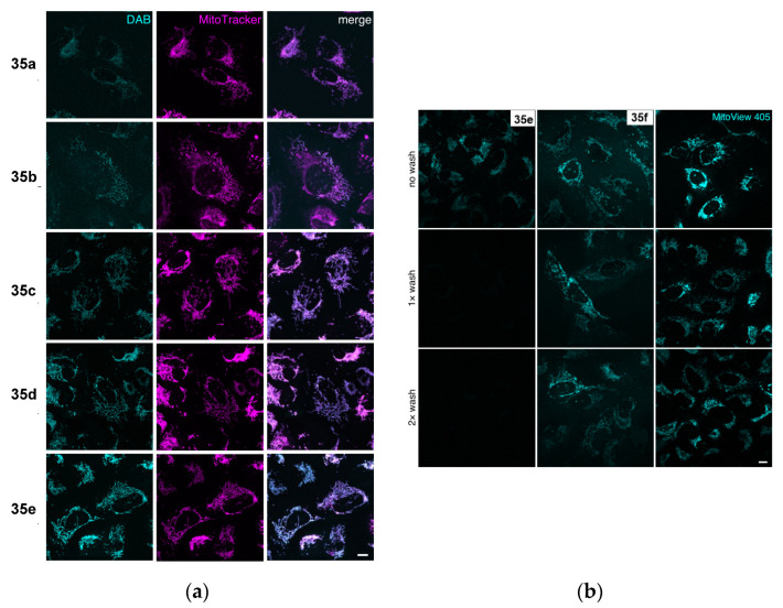 Figure 29