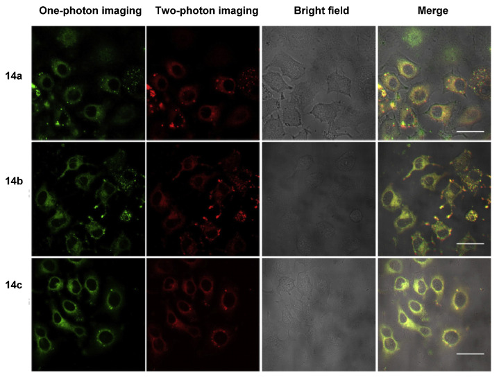 Figure 12