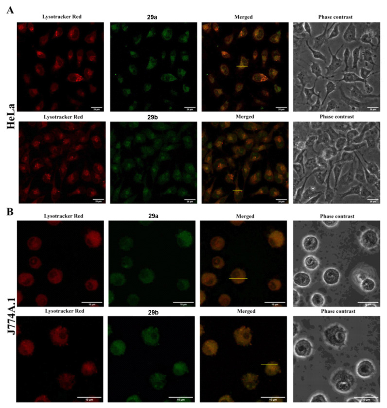 Figure 25