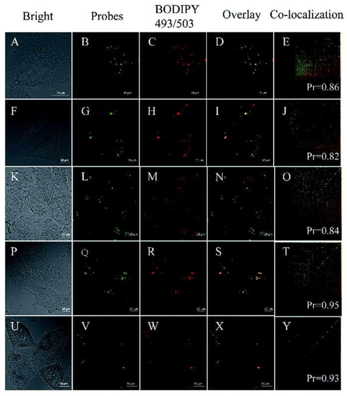 Figure 23