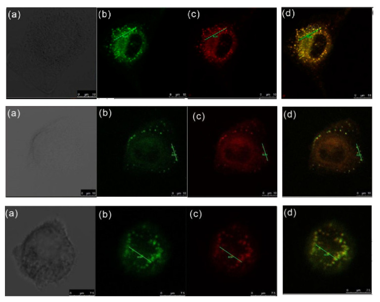 Figure 20