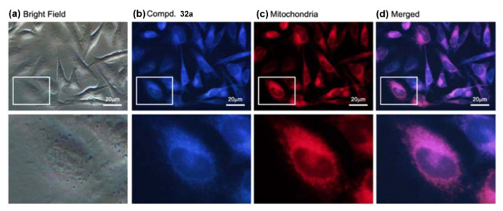 Figure 26