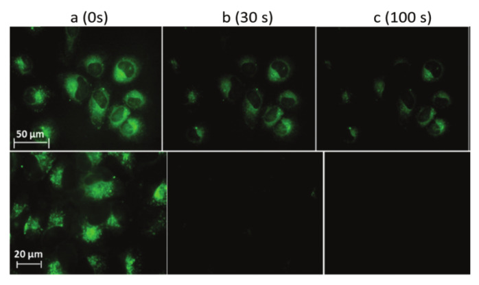 Figure 24