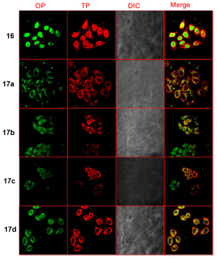 Figure 14