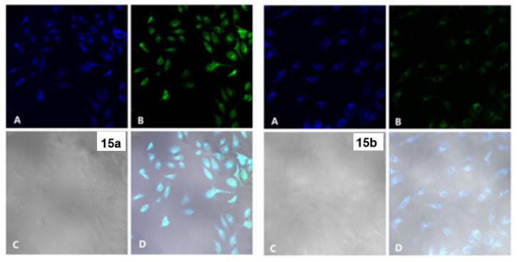 Figure 13