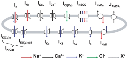 Figure 14