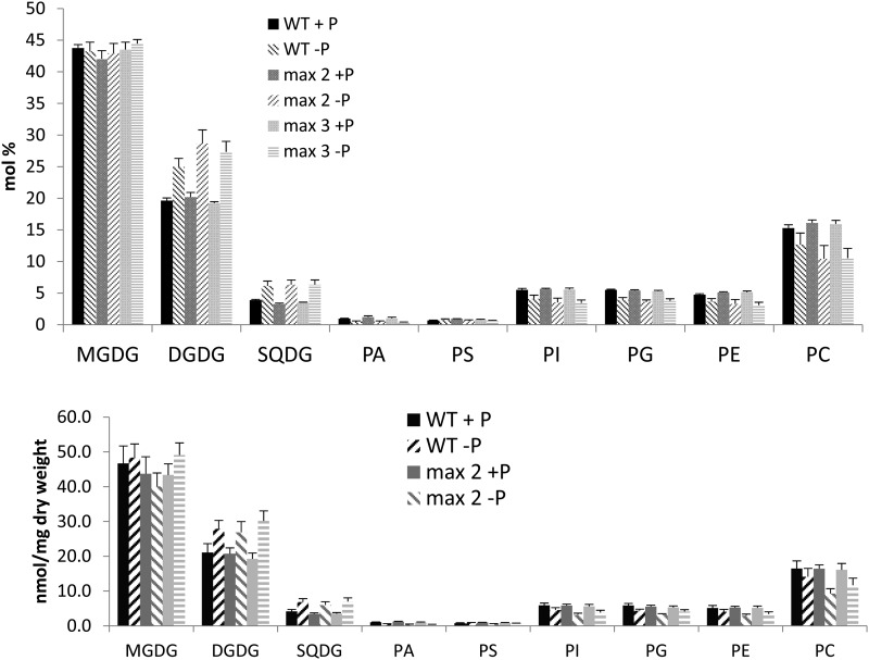 Figure 11.