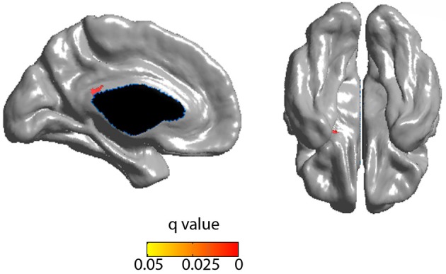 Figure 5