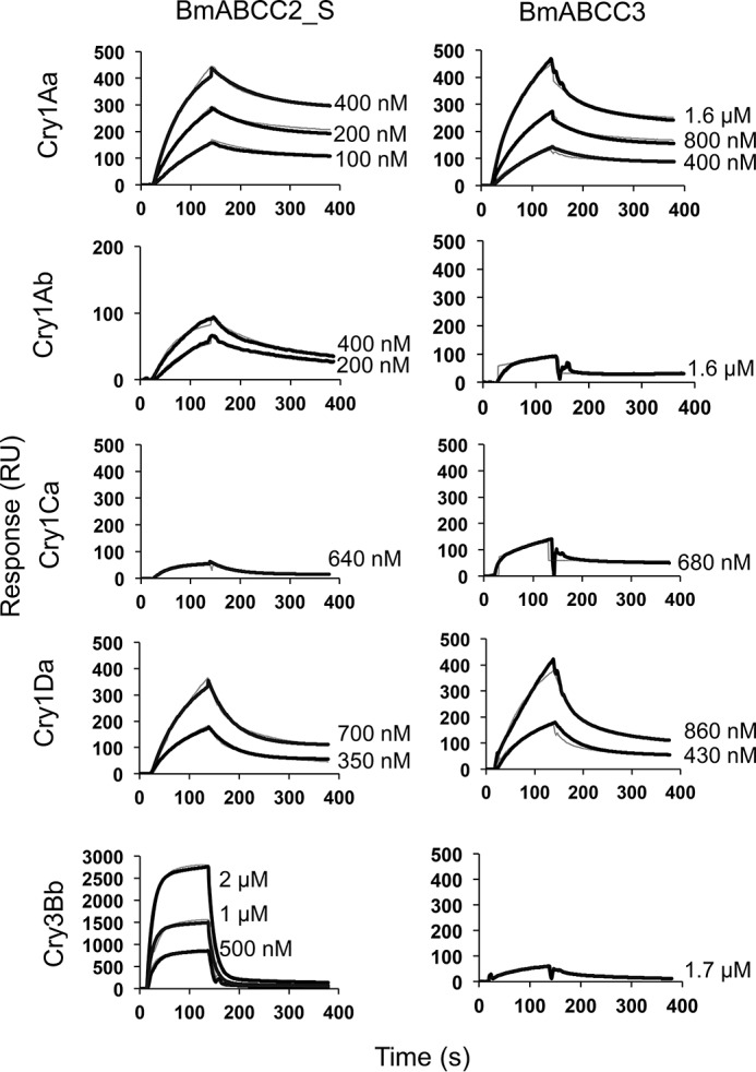 Figure 6.