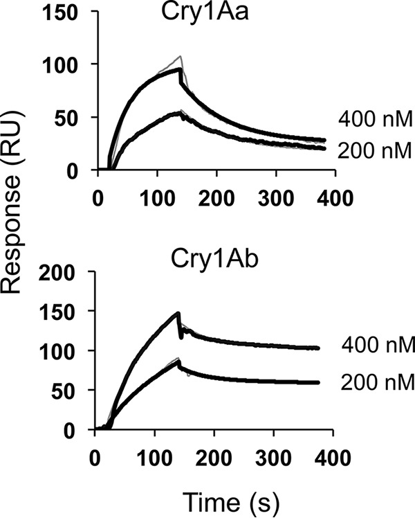 Figure 7.