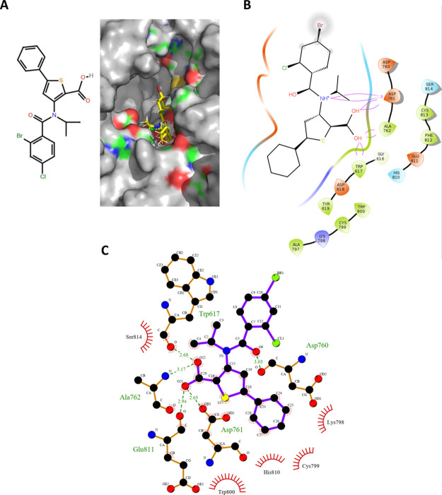 Figure 4