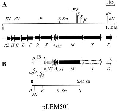 FIG. 1.