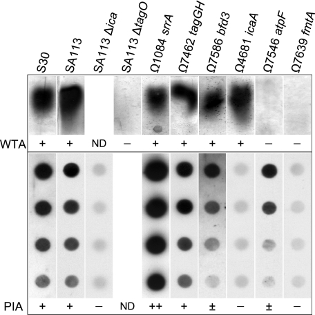 FIG. 5.