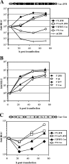 FIG. 2.