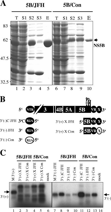 FIG. 5.