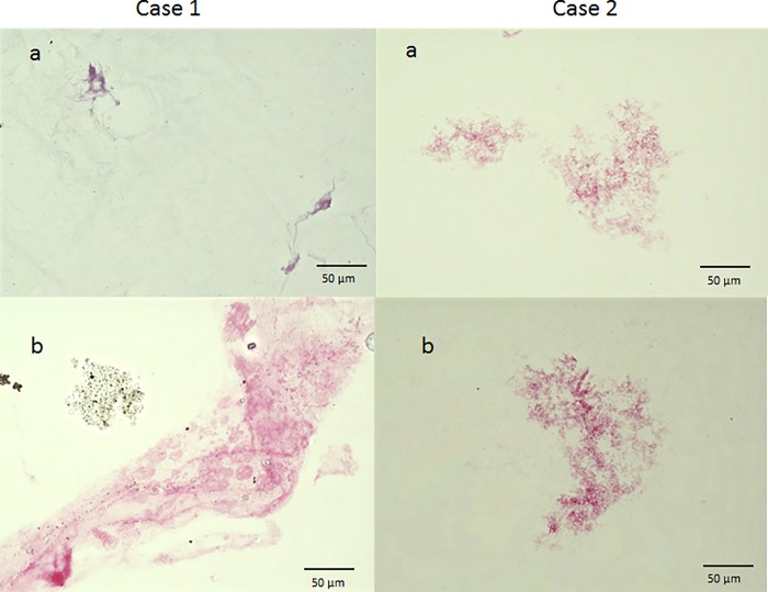 Fig 6