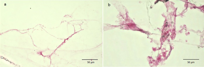 Fig 9