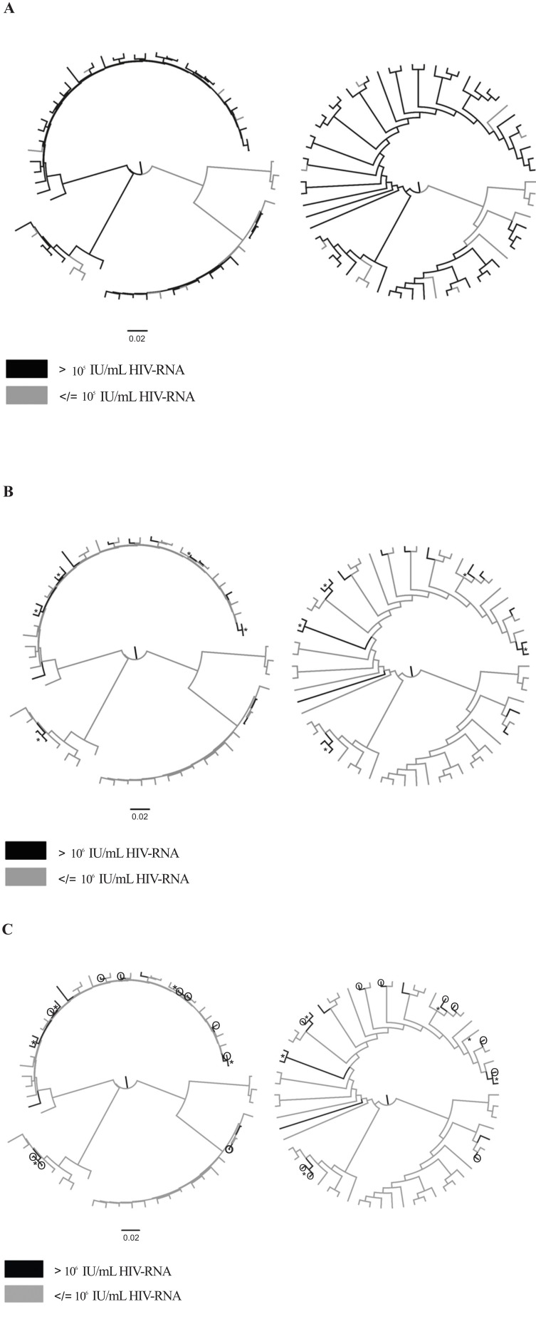 Fig. (1)