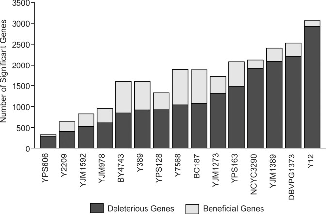 Figure 2—figure supplement 1.