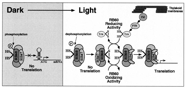 FIG. 8