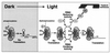 FIG. 8