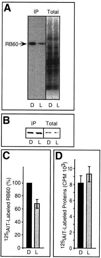 FIG. 5