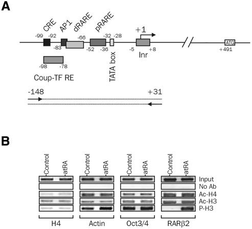 graphic file with name kvf06602.jpg