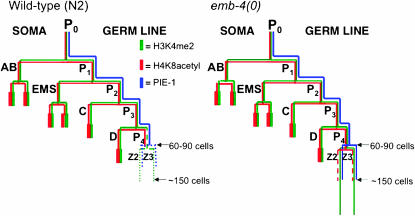 Figure 7.—