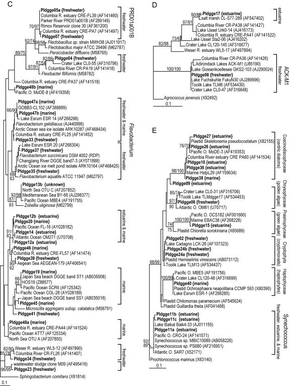 FIG. 7.