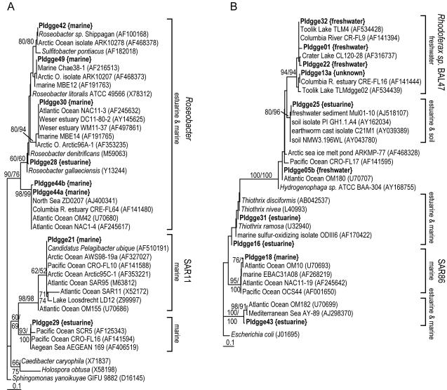 FIG. 7.