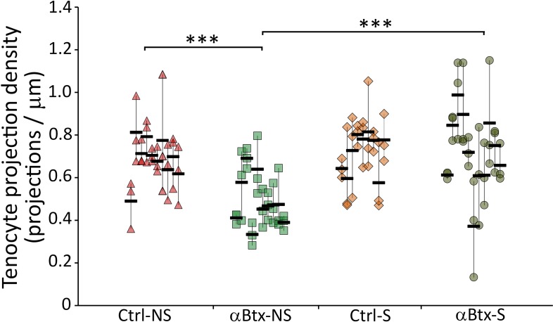 Figure 2—figure supplement 1.