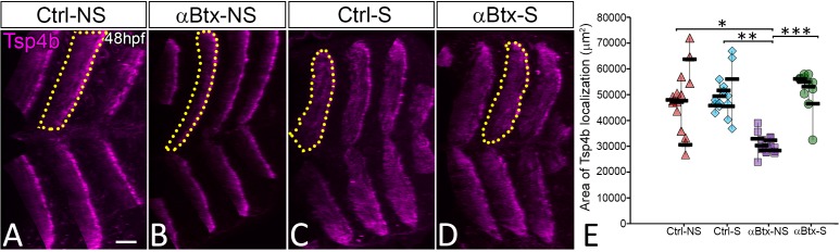 Figure 3—figure supplement 2.