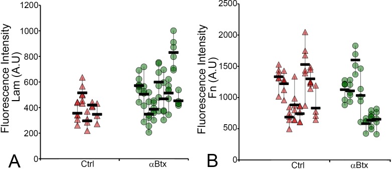 Figure 3—figure supplement 1.