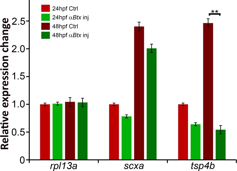 Figure 3—figure supplement 3.