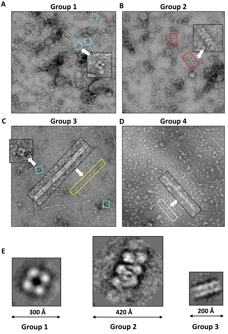 Fig. 3