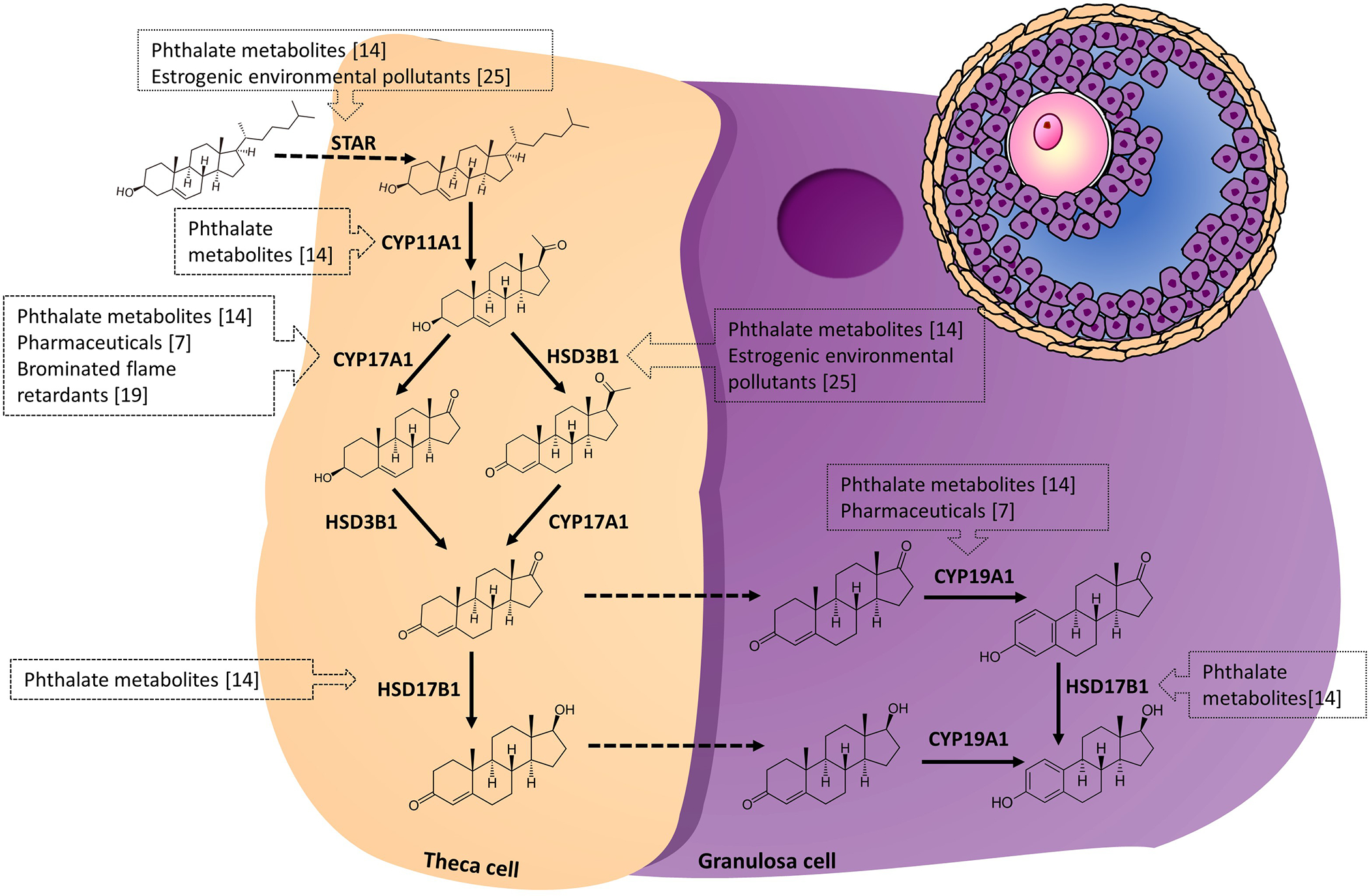 Figure 2: