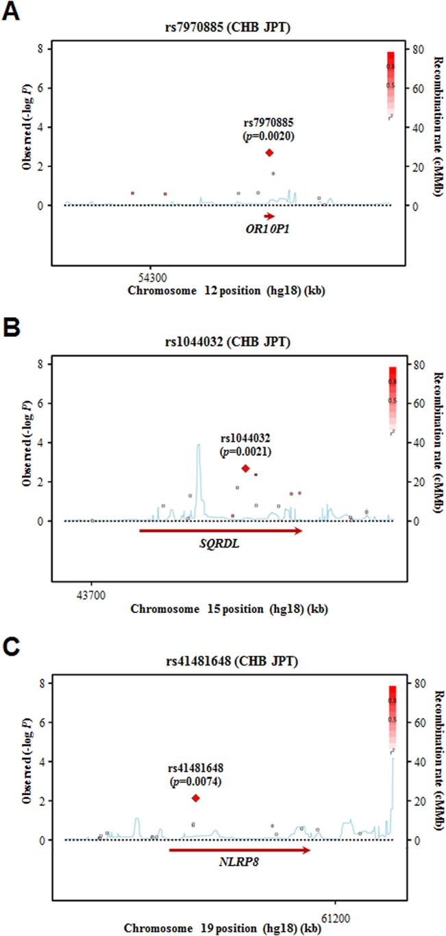 Fig 2