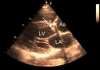 Figure 1)
