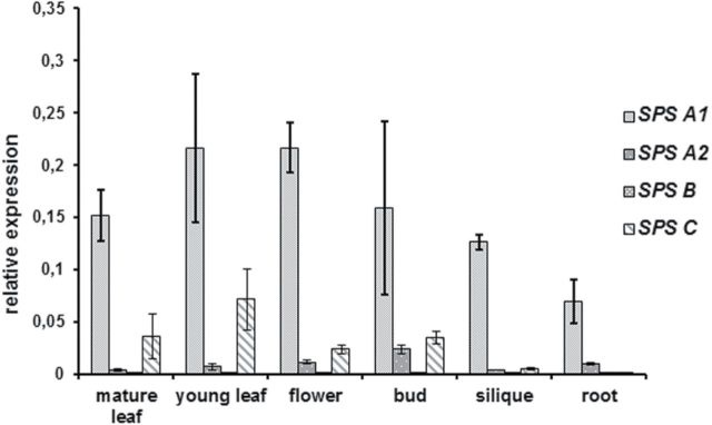 Fig. 3.