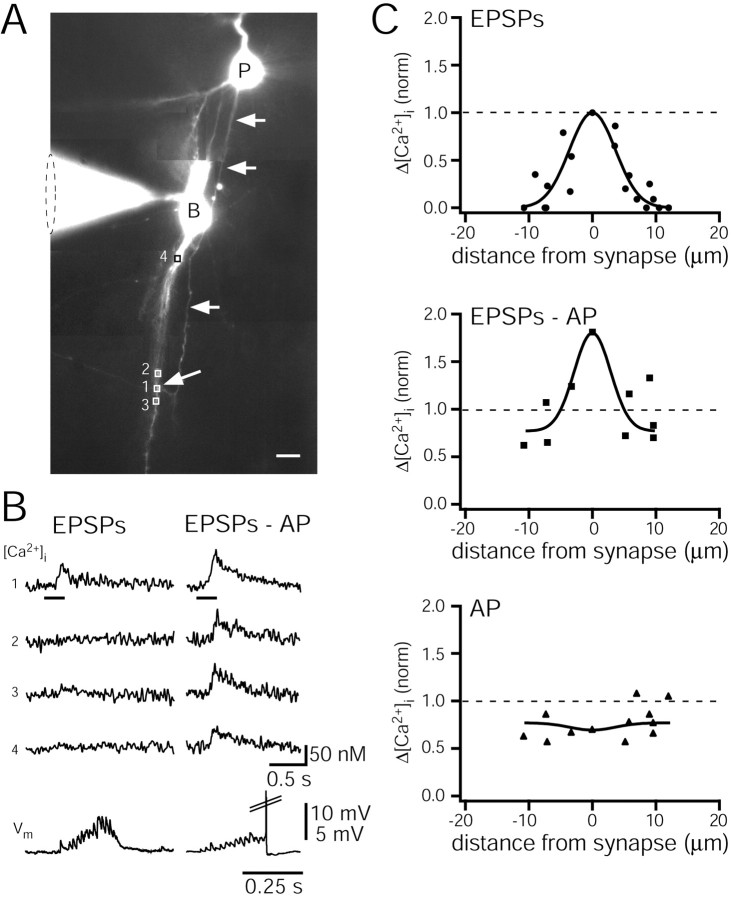 
Figure 9.
